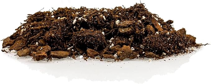 Premium Gardenera House Plant Potting Mix | Fern + New Zealand Bark + Perlite | Great for Pothos, Spider Plants, Montsera, Philodendron, English Ivy - 1 Quart Bag
