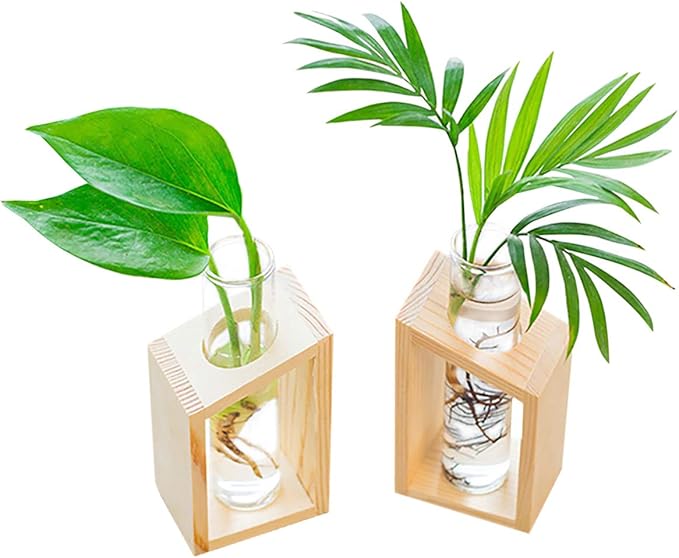 Ivolador Plant Propagation Station, Plant Propagation Tubes,Gifts for Plant Lovers,Plants Cutting Holder Office Desk Garden Décor Gifts for Mom Women Hydroponic Vase Gift Box