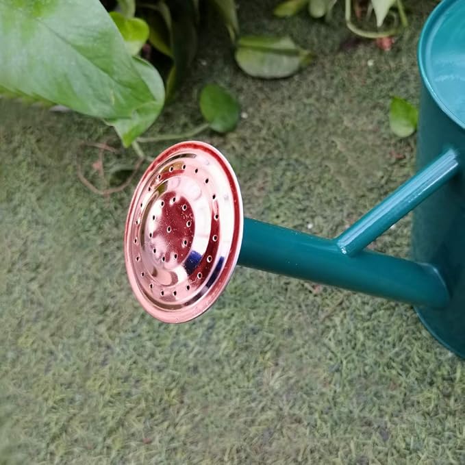 Steel Watering Can Sliver Galvanized Steel Watering Can with Copper Accents,Removable Rosette-Diffuser,One-Gallon Green