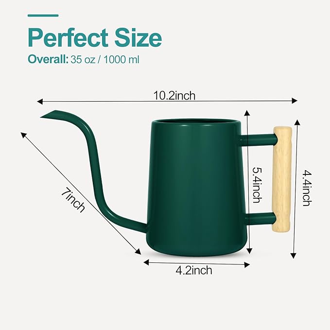 Watering Can Indoor Plants, 35 oz/1000 ml Metal Stainless Steel Watering Can Pot with Long Spout for Indoor House Plants Bonsai Outdoor Garden Flower Decorative (Alpinegreen)