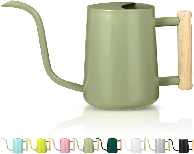 Watering Can Indoor Plants, 35oz Small Watering Can Indoor Stainless Steel Metal Watering Can Modern Decorative Watering Pot with Long Spout for Indoor House Plant Bonsai Garden Flowers (Sage Green)