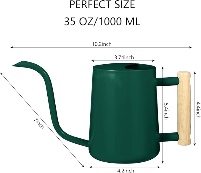 Watering Can Indoor Plants, 35oz Small Watering Can Indoor Stainless Steel Metal Watering Can Modern Decorative Watering Pot with Long Spout for Indoor House Plant Bonsai Garden Flowers (Alpinegreen)