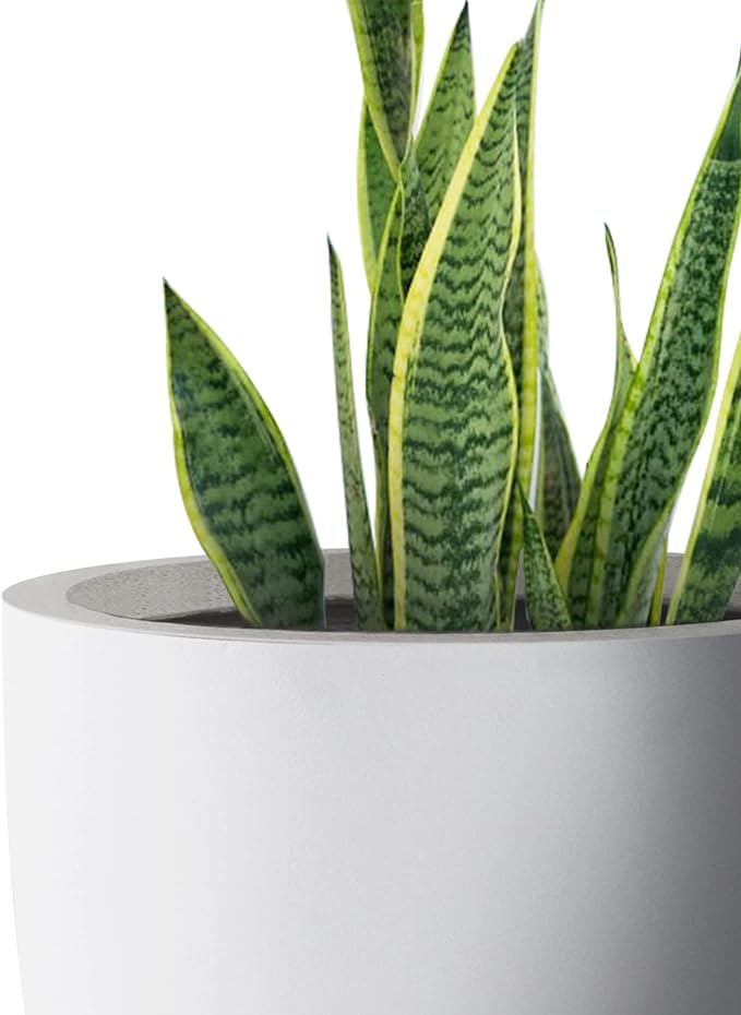 Kante 18 Inch Dia Round Concrete Planter, Indoor Outdoor Large Plant Pot with Drainage Hole and Rubber Plug for Home Patio Garden, Pure White