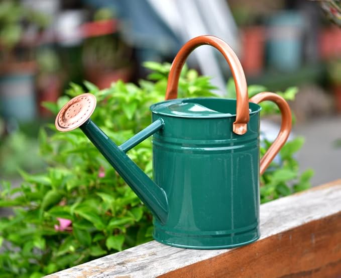 Steel Watering Can Sliver Galvanized Steel Watering Can with Copper Accents,Removable Rosette-Diffuser,One-Gallon Green