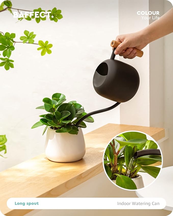 Baffect Watering Can Indoor Plants, 1.2L/41OZ Cute Watering Can Pot, Metal Stainless Steel Garden Water Can with Long Spout for Indoor House Plants Bonsai Outdoor Garden Flower Decorative