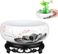 Ceramics Water Lily Bowl with Stand Chinese Style Hydroponic Planter Pot Round Narcissus Flowerpot Bonsai Daffodil Planting Container Garden Decoration 7 Inch