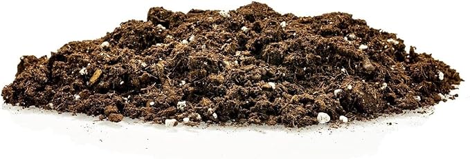 Premium Pothos Potting Soil Mix - Air Cleaning Plant Potting Mix, Soil Mix for Pothos, Parlor Palm, Peace Lily - (1 Quart Bag)