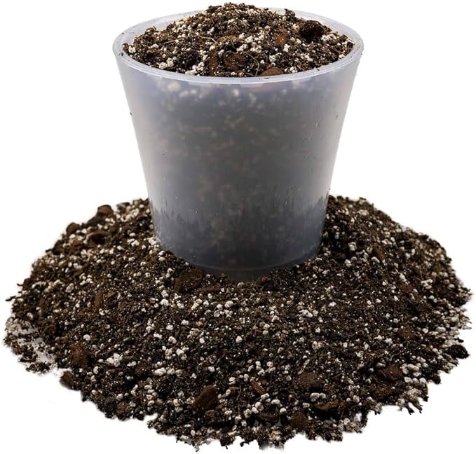 Premium Dahlia Potting Soil Mix - Ideal for Growing Vibrant and Healthy Dahlias - 2 Quart