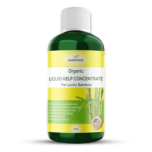 Organic Premium Kelp Seaweed Fertilizer for Lucky Bamboo - Liquid Plant Food - Soil Enhancer - Natural Plant Food (8 OZ)