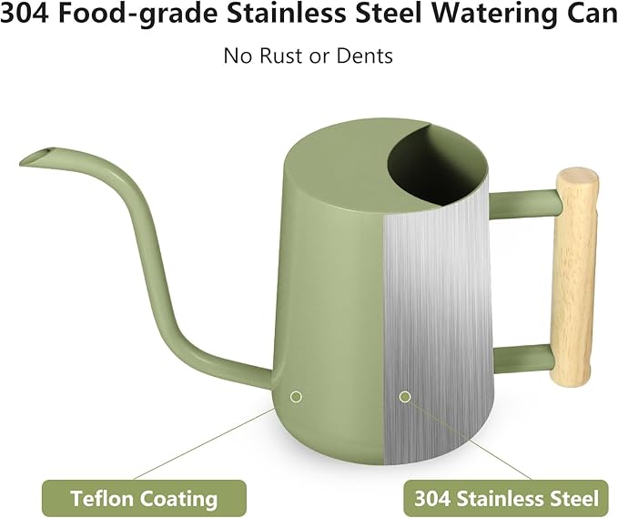 Watering Can Indoor Plants, 35oz Small Watering Can Indoor Stainless Steel Metal Watering Can Modern Decorative Watering Pot with Long Spout for Indoor House Plant Bonsai Garden Flowers (Sage Green)