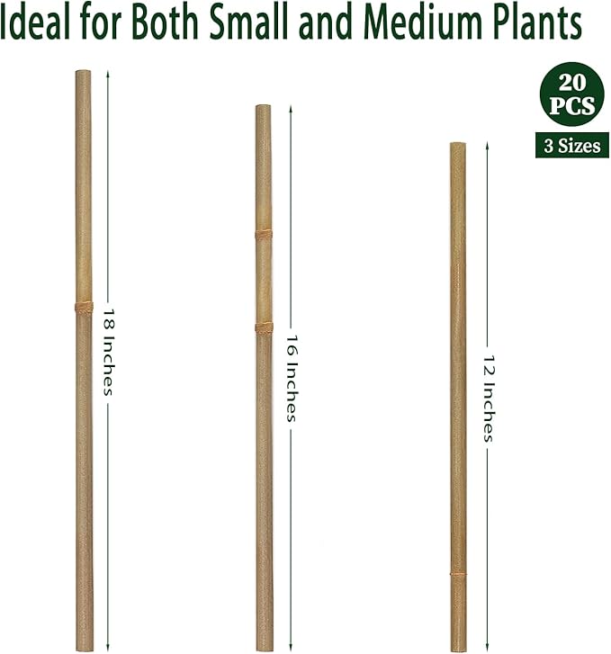 Plant Stakes,12 Inches Natural Garden Bamboo Sticks,BOVITRO 20Pcs Plant Support Stakes for Tomatoes,Beans,Vegetable and Potted Plants
