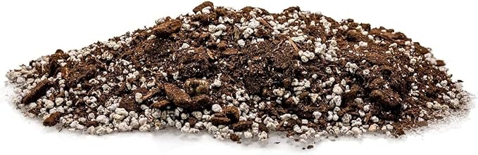 Premium Aloe Vera Potting Soil Mix - (3 Quart Bag)