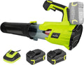 SnapFresh Cordless Leaf Blower - 550CFM Electric Leaf Blower Cordless with 2 x 4.0 Ah Battery and Fast Charger - 20V Lightweight Leaf Blower for Yard and Garden, Battery Operated Blower for Lawn Care