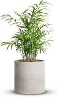 Mozing Cement Plant Pots Indoor - 4.8 inch Concrete Planter Pot for Planting - Modern Stone Clay Flower Pot with Drainage Hole for Garden, Home, Office Decor, Grey