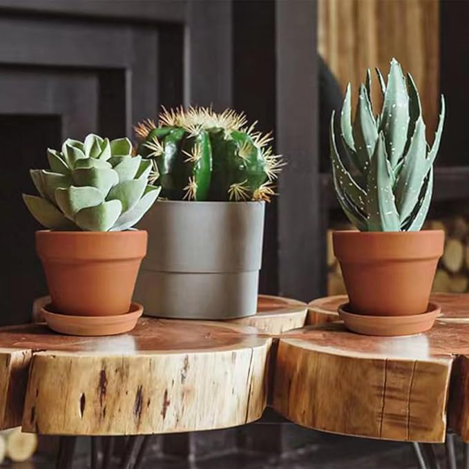 6 PCS Clay pots and Plates, 5-inch red Clay pots with Drainage, Perfect for Indoor, windowsill, and Garden Plants