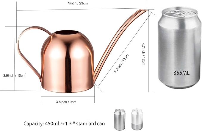 IMEEA Small Watering Can for Indoor Plants Stainless Steel Indoor Watering Can with Long Spout, 15oz/450ml