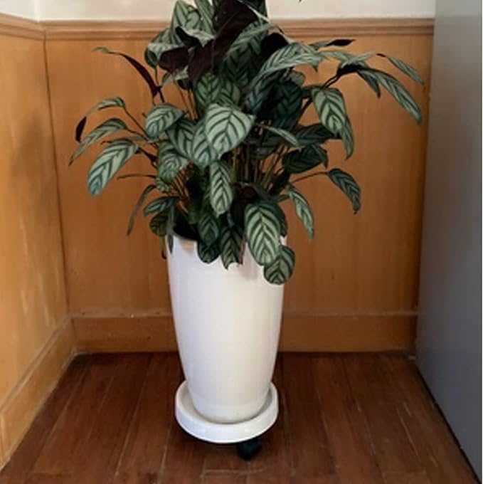 2 Pack of 12.6 Inch Heavy Duty Plant Caddy with Wheels,Rolling Plant Stand Pot Trolley,Wheeled Planter Saucer Tray,Potted Flower Mover Dolly with Casters Round Coaster for Indoor Outdoor