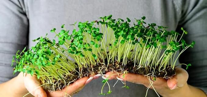 Organic Microgreens Premium Potting Mix: Superior Nutrient Retention and Plant Vitality - 5 Quart