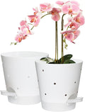 Orchid Pots with Holes, 6 Inch Self Watering Orchid Pot 2 Pack Plastic Plant Pots for Orchid, Flower (White)