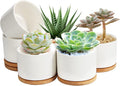 ZOUTOG Plant Pot 4 Inch, Ceramic Succulent Pots with Drainage Hole & Bamboo Tray, Pack of 6 White Small Flower Pots for Home, Office, Indoor or Outdoor Decor - Plants Not Included