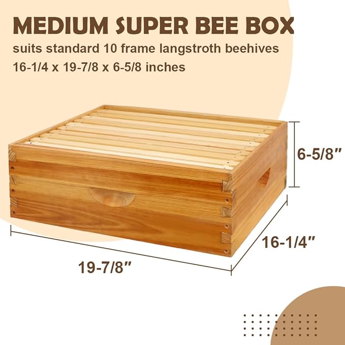 10 Frame Bee Hive Box, Langstroth Medium Super Bee Box Dipped in 100% Beeswax Include Beehive Frames and Waxed Foundation Sheets (Unassembled)