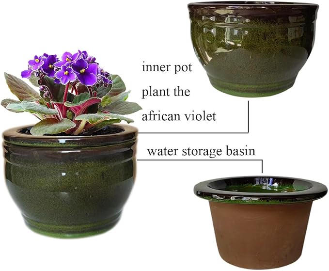 African Violet Pots Self Watering Round Ceramic Violet Pot (Olive drab, 6 inch)