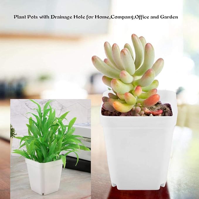 OJYUDD 3inch White Square Plastic Pots with Saucer, Drainage Hole, 24 Pcs, for Flower/Plant, Home,Company,Office and Garden(White)