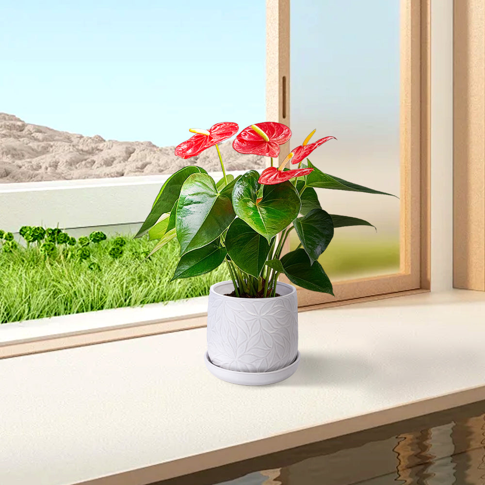 2 Pieces Ceramic Planter Pot, Modern Indoor Outdoor Flowerpot for Patio, Garden, or Windowsills - Gloss White