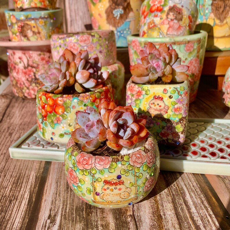 Echeveria 'Snow Angel' Multi-stemmed Cluster Approx. 3–3.5 inches Across