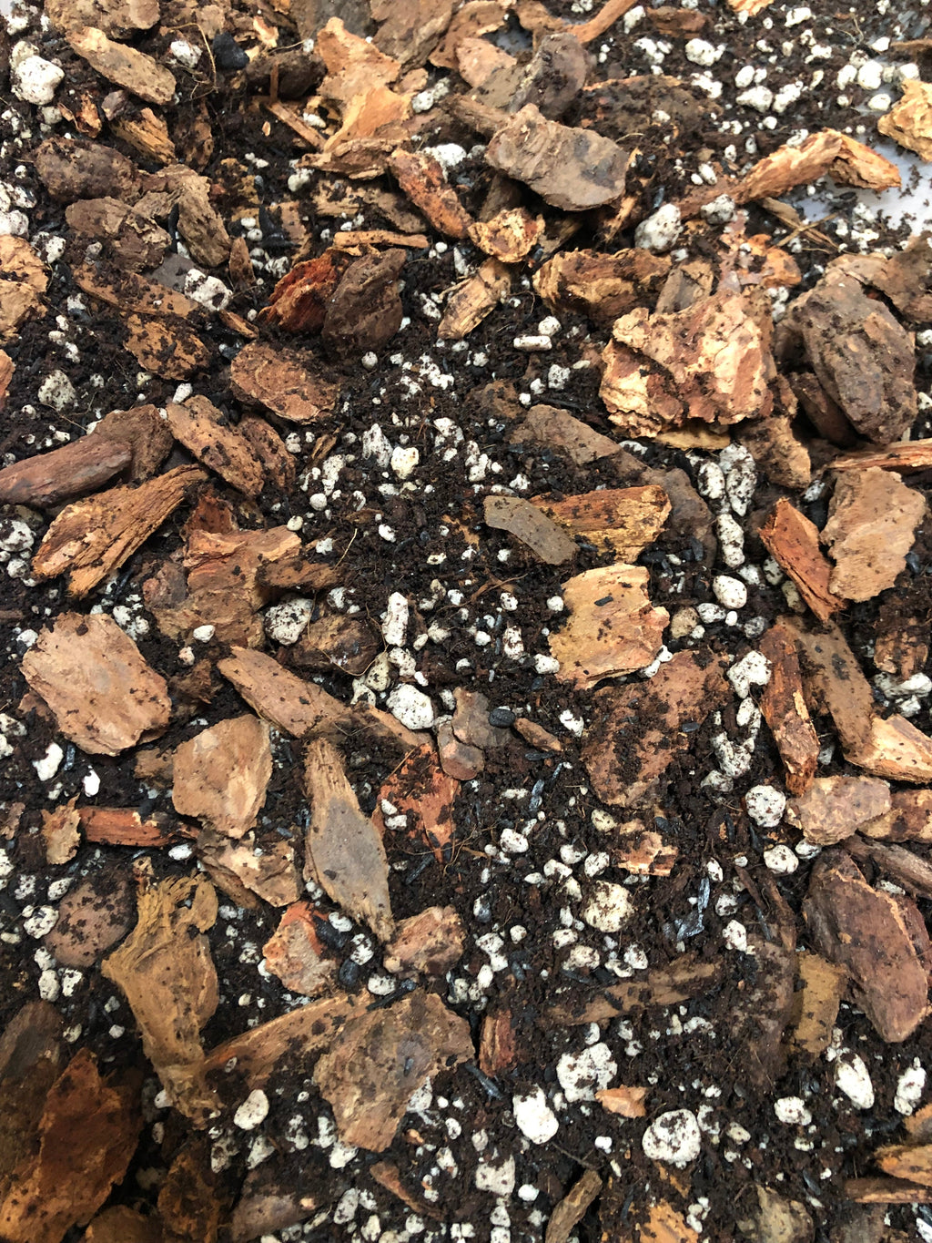 HOYA Premium Potting Mix