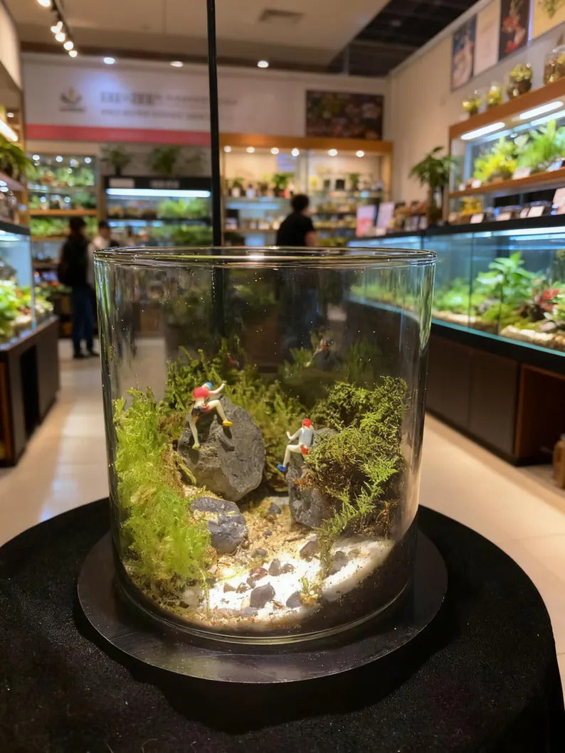 Live Moss Terrarium in Glass Jar Mini Bioactive Mossarium with Stone & Tiny Figurine Natura Desktop Ecosystem DIY Mini Garden Gift for Lover