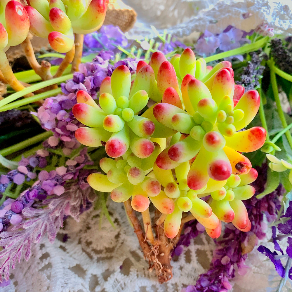 Jelly Beans Plant - Sedum Pachyphyllum Clustered - 2"-2.5" Multi-stemmed Succulent