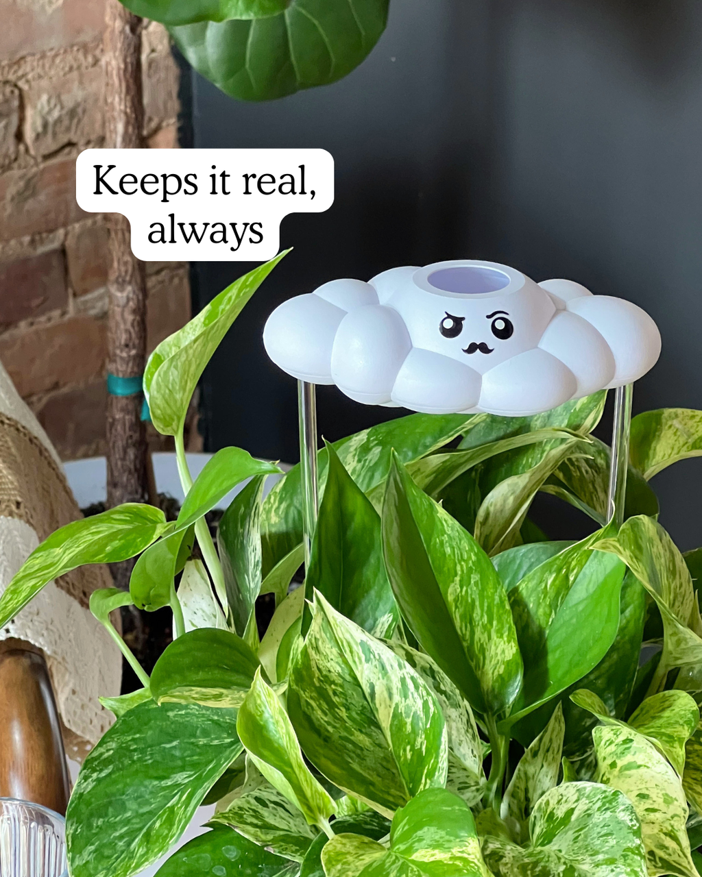 Carl the Cloud