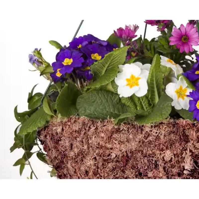 Long Fibered Sphagnum Moss 432 Cu. In.