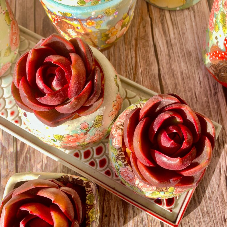 Echeveria 'Red Lantern' Approx. 3"–3.5" in Diameter