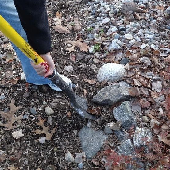 Spear Head Spade 40" with D-grip Model SHFD3