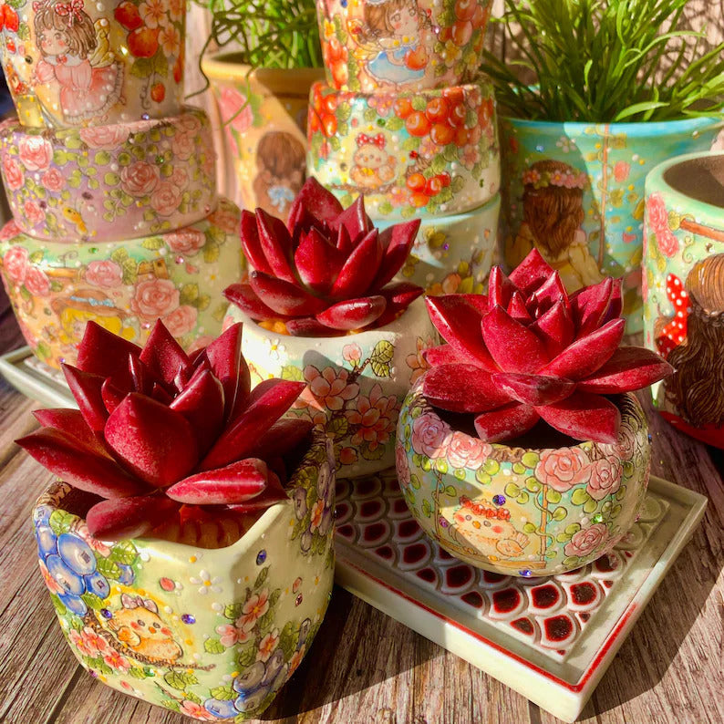 Father's Day Gift🎁: Echeveria Agavoides 'v.Romeo Rubin' - Look Like Oil Painting Live Succulent - Single-stemmed Rosettes Plant