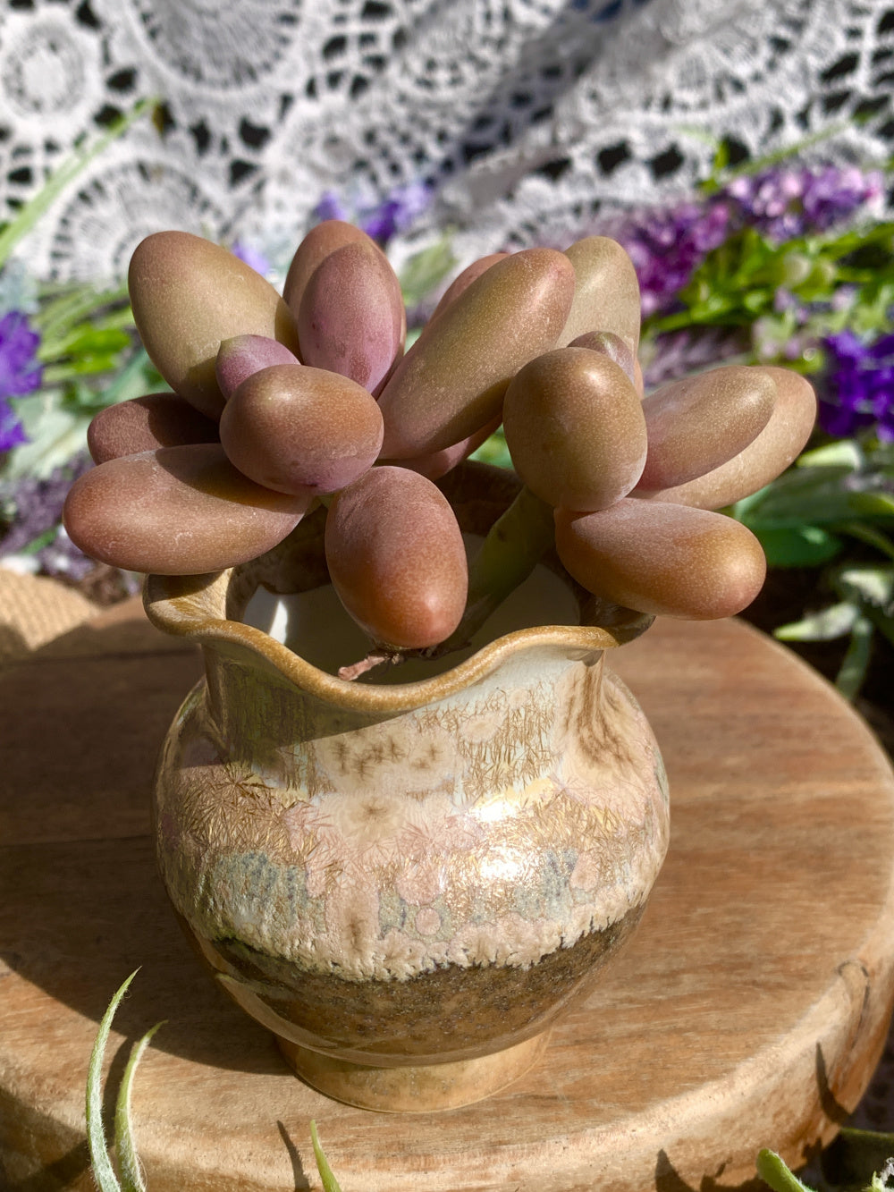 SC-SN0004 Modern Handmade Ceramic Planter Pot - Pot rim diameter: 1.8"