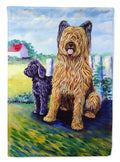 Briard Training Day for the puppy Garden Flag – Decorative Outdoor Yard Flag