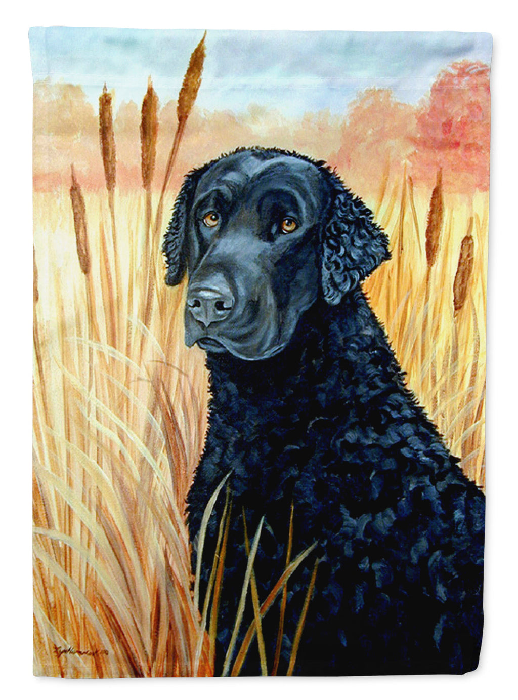 Curly Coated Retriever Garden Flag – Decorative Outdoor Yard Flag 7097GF