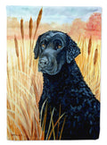 Curly Coated Retriever Garden Flag – Decorative Outdoor Yard Flag 7097GF