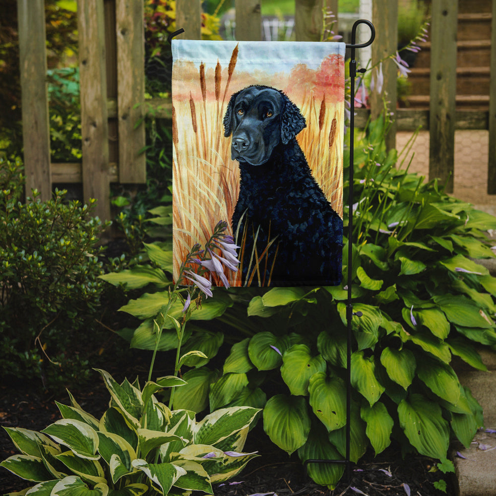 Curly Coated Retriever Garden Flag – Decorative Outdoor Yard Flag 7097GF