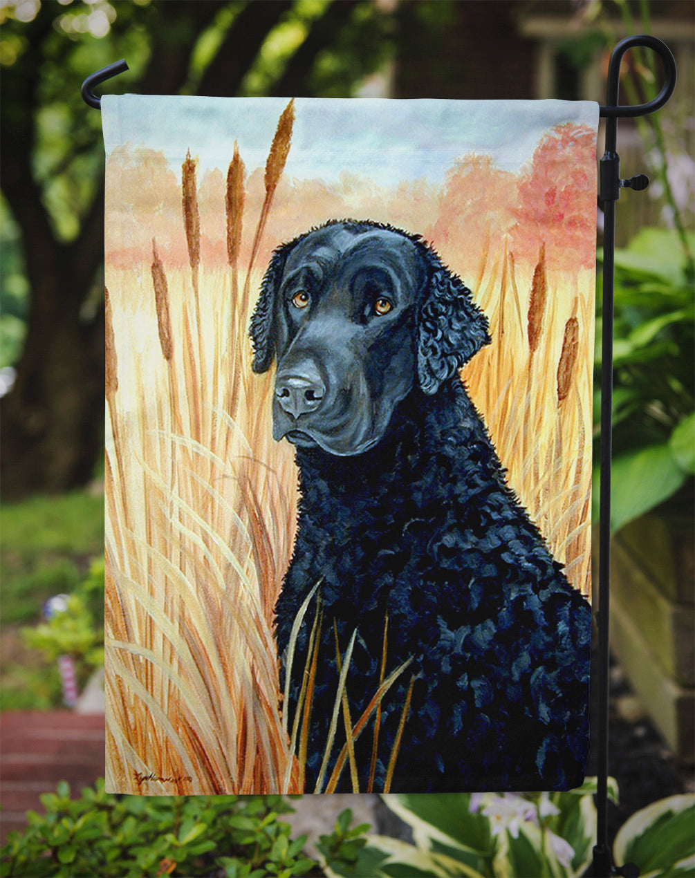 Curly Coated Retriever Garden Flag – Decorative Outdoor Yard Flag 7097GF