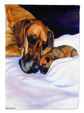 Fawn Natural Great Dane and Puppy Garden Flag – Decorative Outdoor Yard Flag