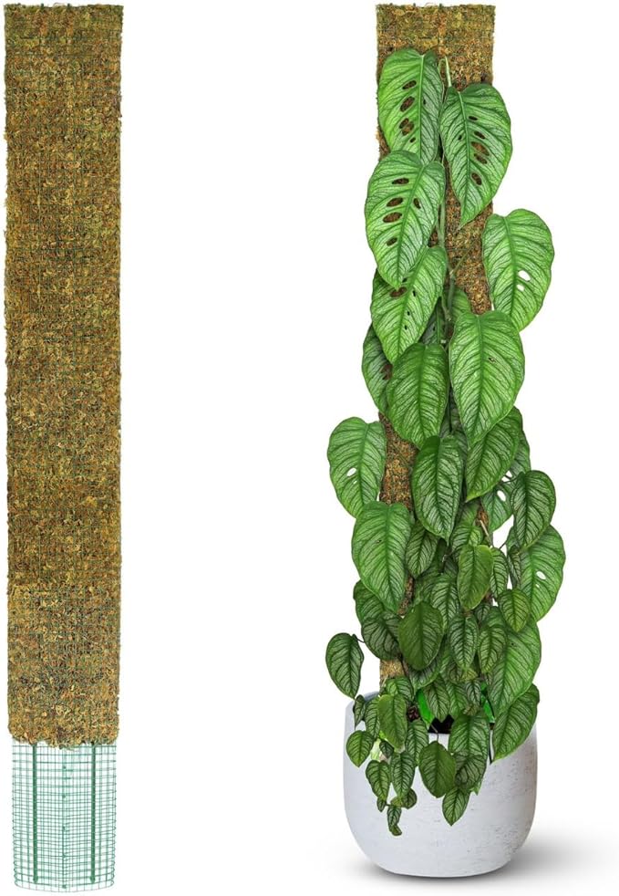 DUSPRO 59’’ Flat Mesh Moss Poles for Climbing Plants Monstera Flat Stacks for Tall Plant with Real Moss Moss Pole for Indoor Plants Plant Stick Support Tall Indoor Plants Support Stakes (1pc., 59'')