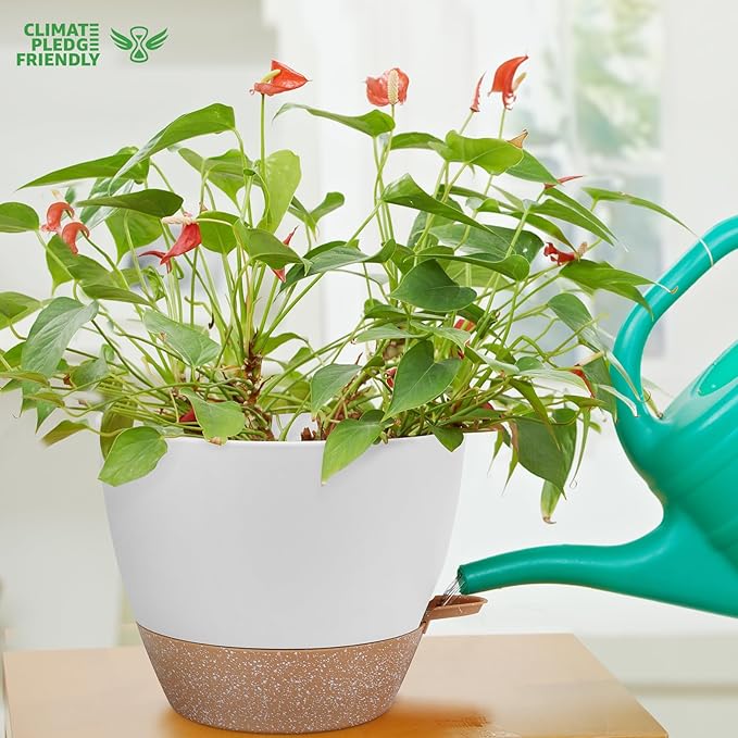 12 Inch Large Self Watering Plant Pot Set, Flower Pots with Multi-Mesh Drainage Holes and Saucer, Suitable for Indoor and Outdoor Garden Plants, White.