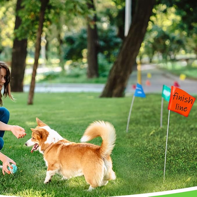 Zozen Marking Flags, Fluorescent Orange Color/1000 Pcs/15x4x5 Inch, Yard Flags for Lawn & Irrigation & Landscape & Sprinkler & Survey & Dog Training.