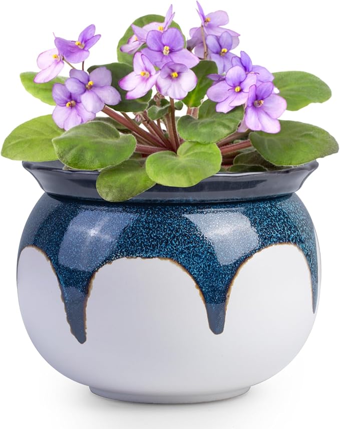 African Violet Pots, 6 inch Ceramic Easy Self Watering Plant Pot for Busy Plant Lovers, Automatically Absorb Appropriate Amount of Water, Flower Pot Indoor-Plants Not Included(Blue)