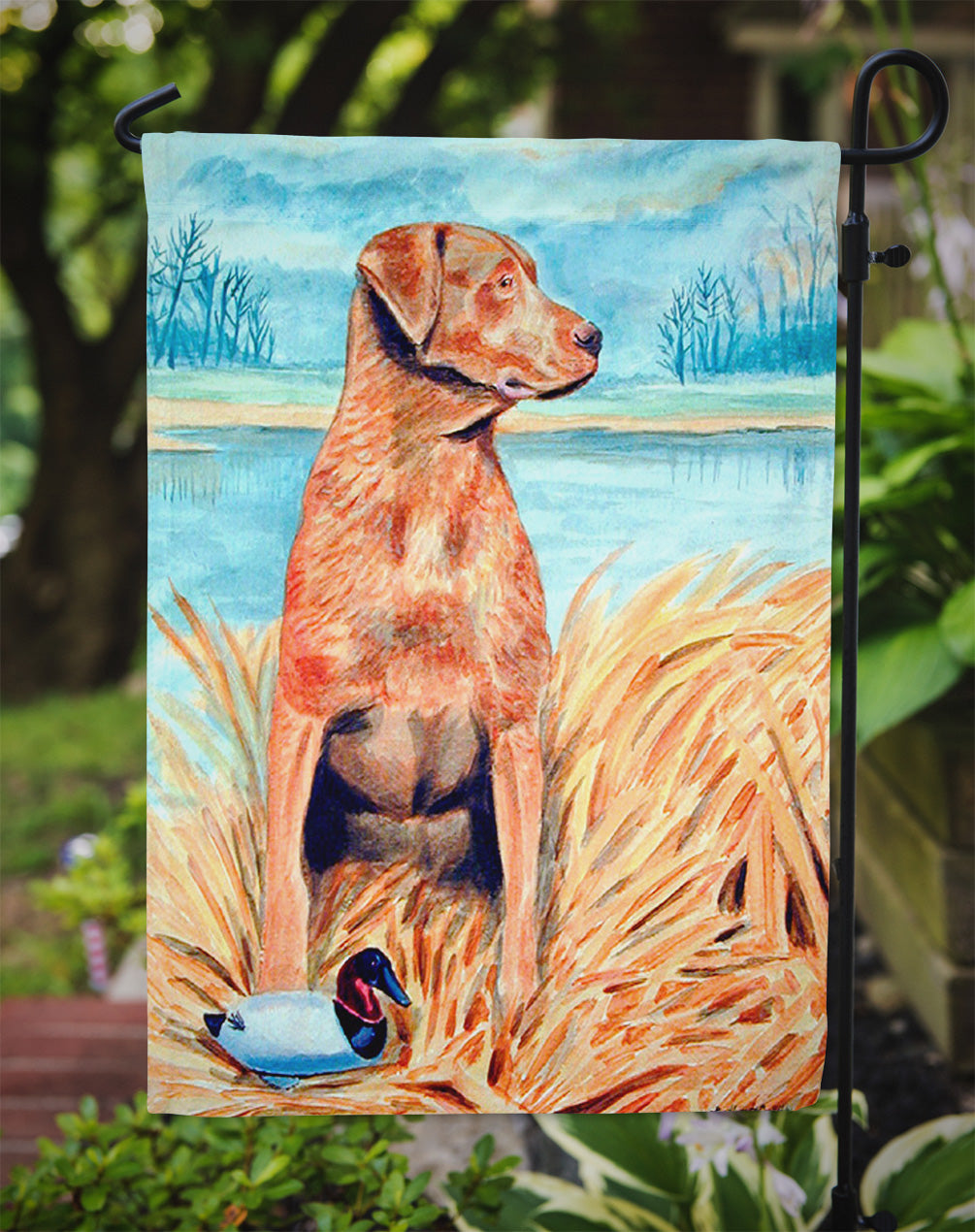 Chesapeake Bay Retriever Garden Flag – Decorative Outdoor Yard Flag