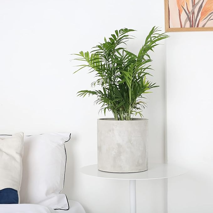 Plant Pots - 5.5 inch Cement Planters Indoor - Modern Grey Flower Pot with Drainage Hole - Home Office Decor